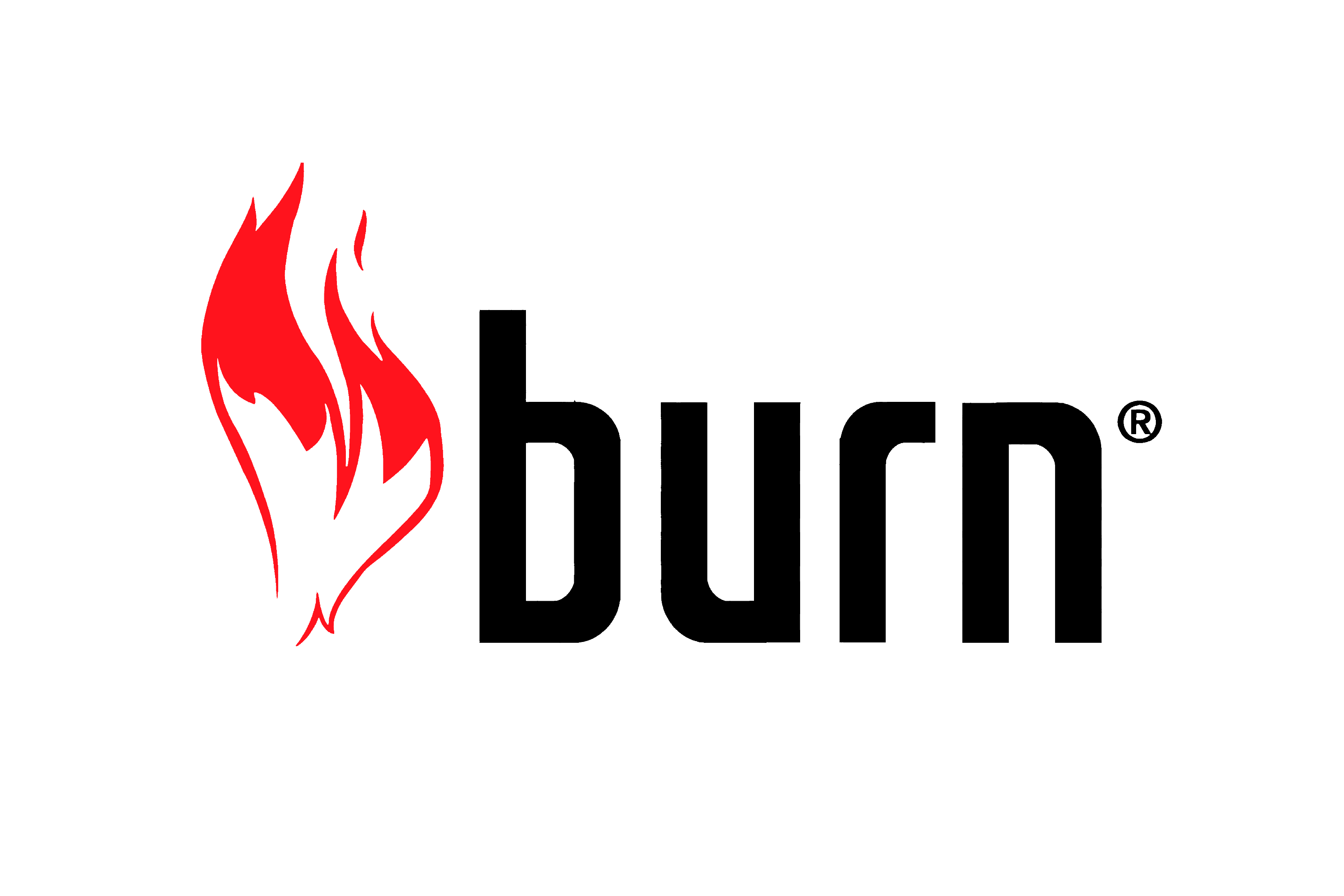 Burn logo 1